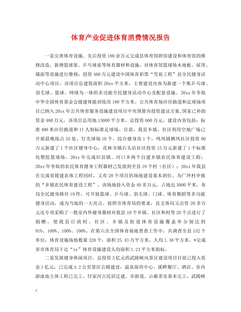 体育产业促进体育消费情况报告_第1页