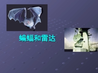 《蝙蝠和雷达》__四年下册语文课件_