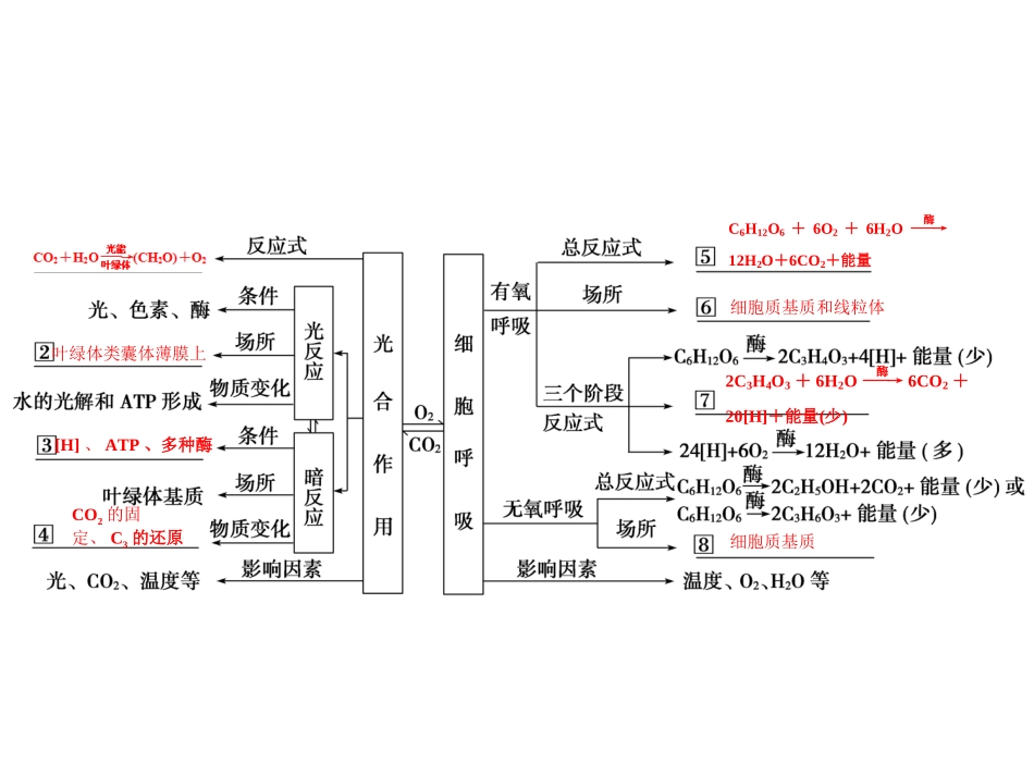 呼吸作用与光合作用小专题1_第3页