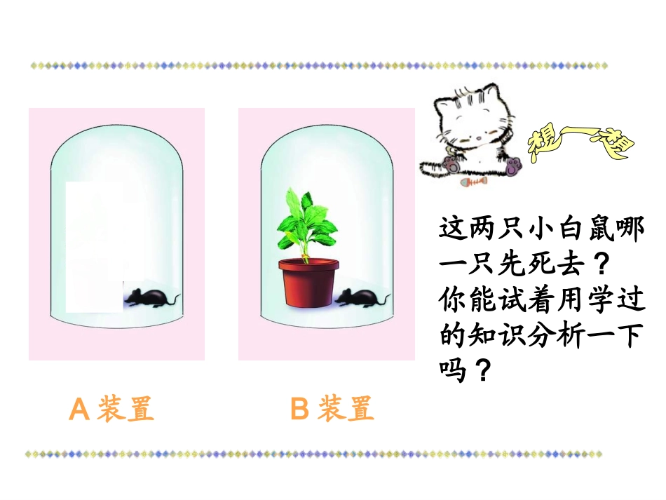 植物呼吸作用的的意义_第3页