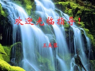 植物呼吸作用的的意义