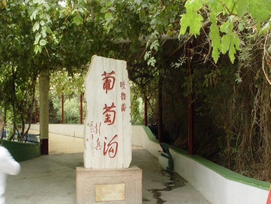 葡萄沟课件(新311)_第3页