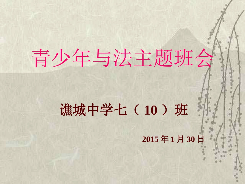 《青少年与法》主题班会课件_第1页