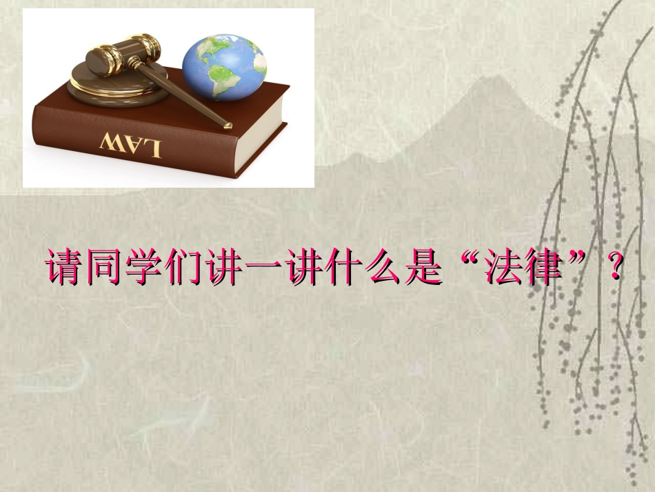 《青少年与法》主题班会课件_第2页