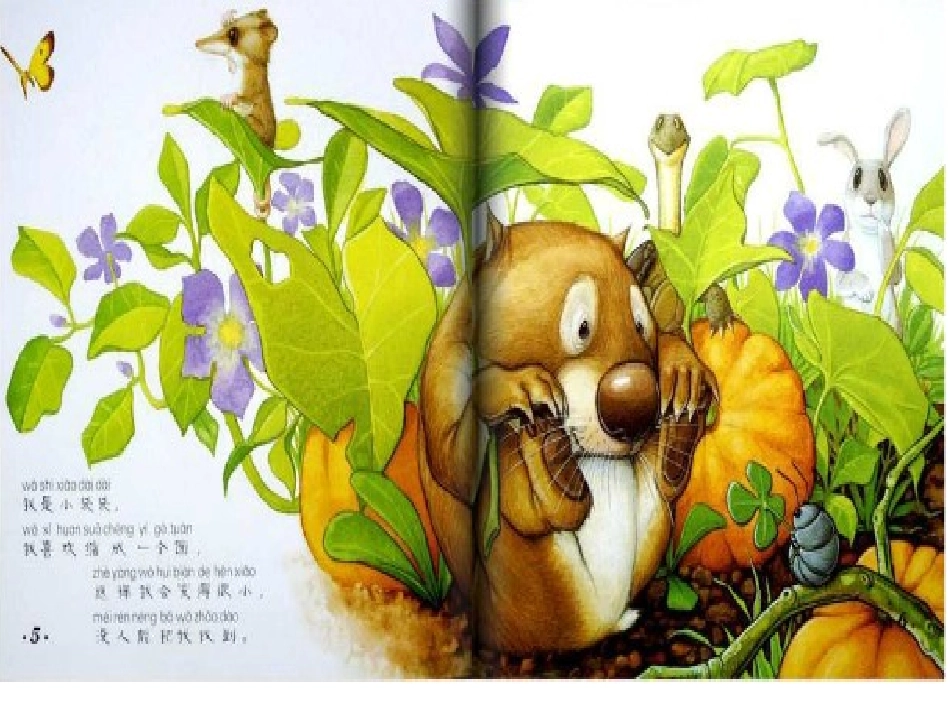 绘本我是小袋袋_第2页