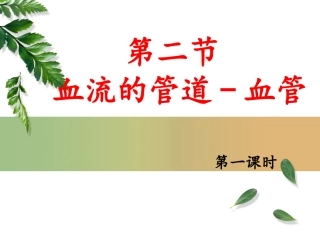 血流的管道—血管