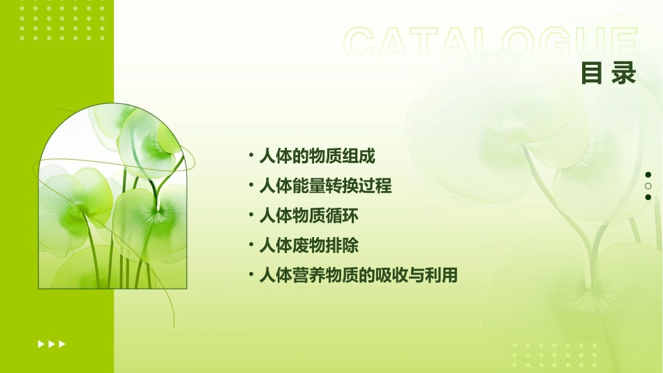 课后练习7人体的物质和能量转换(二)课件_第2页