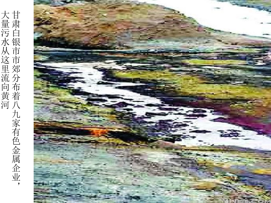 环境污染 (2)_第3页