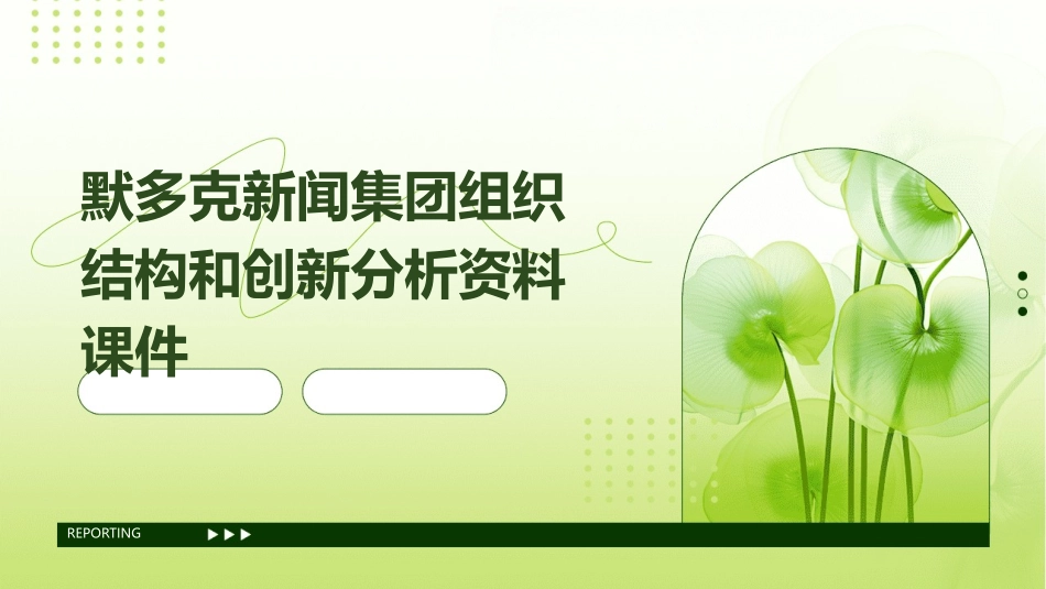 默多克新闻集团组织结构和创新分析资料课件_第1页