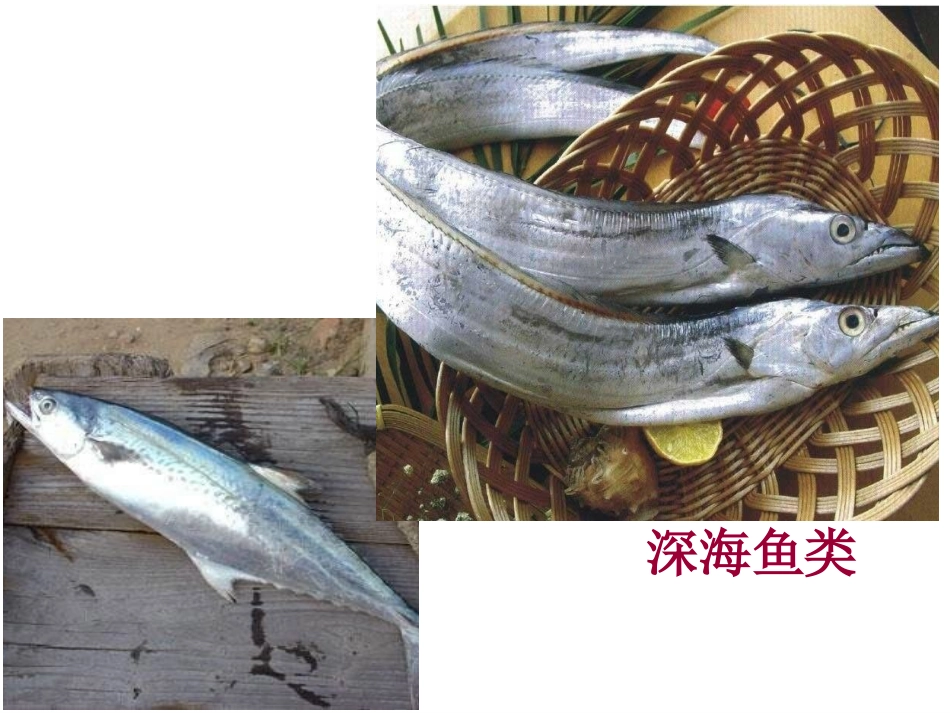 初中物理液体压强_第3页