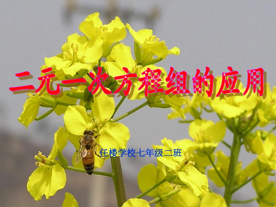 二元一次方程组的应用_第1页