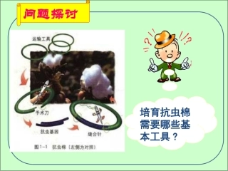 DNA重组技术的基本工具