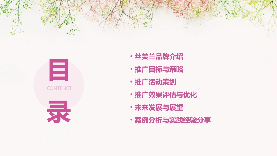 丝芙兰推广方案课件_第2页