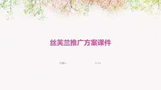 丝芙兰推广方案课件