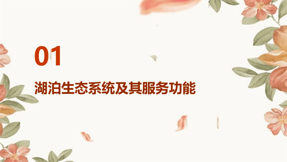 湖泊生态服务功能价值评价课件_第3页
