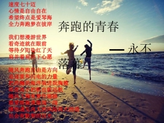 发展社会主义市场经济