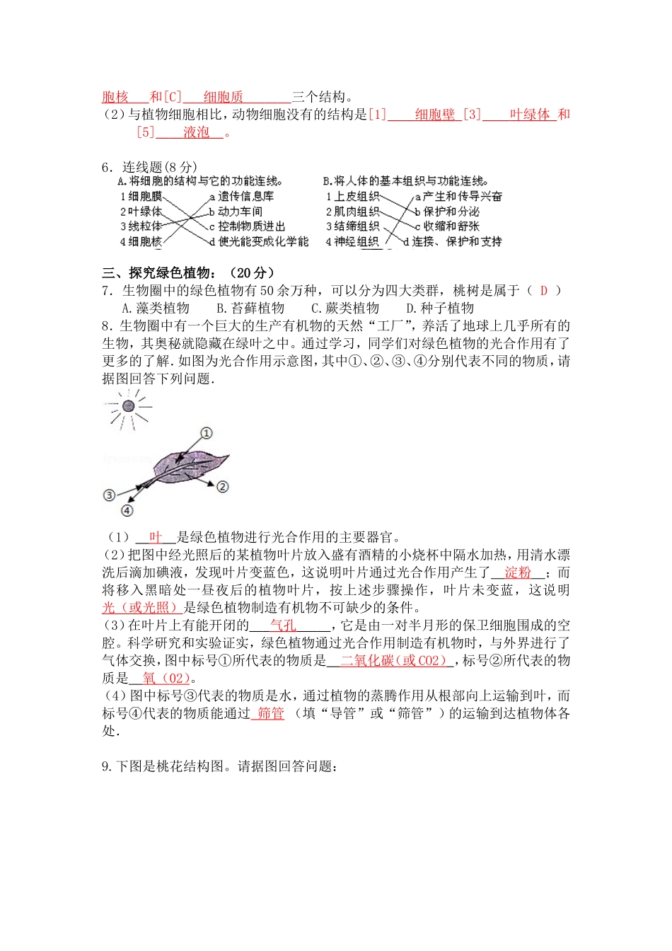 樊城区七年级上生物试题答案_第2页