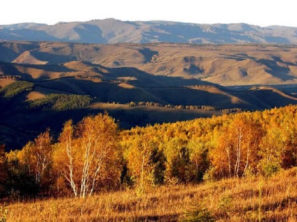 土地的誓言-cqssqzys_第1页