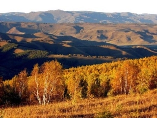 土地的誓言-cqssqzys