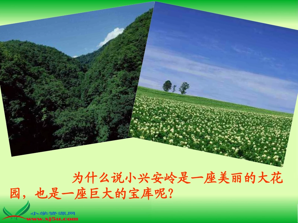 (教科版)三年级语文上册课件_美丽的小兴安岭_1_第2页