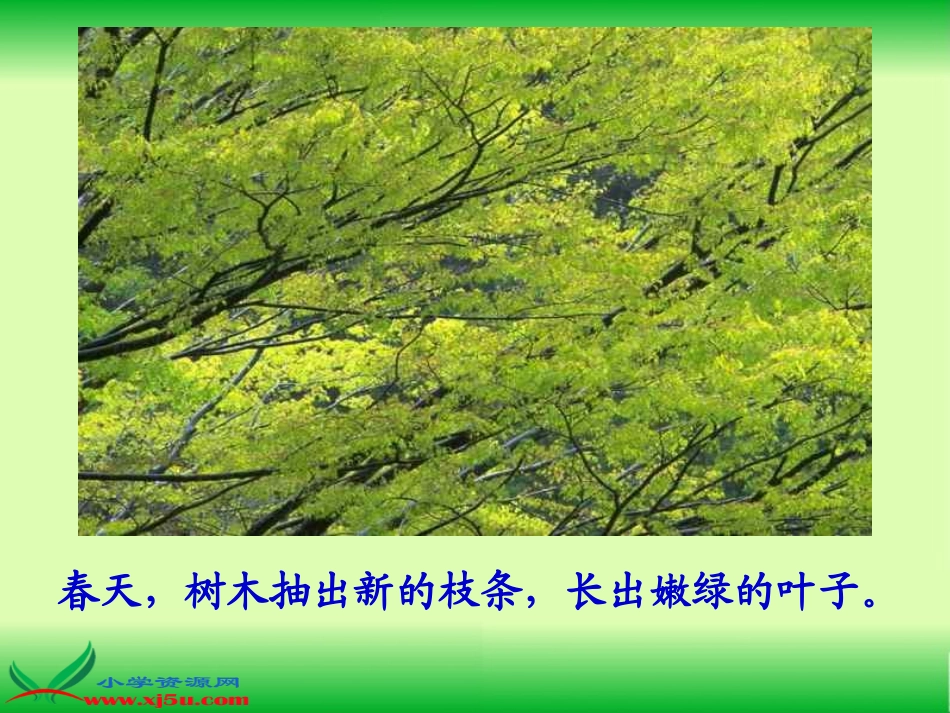(教科版)三年级语文上册课件_美丽的小兴安岭_1_第3页
