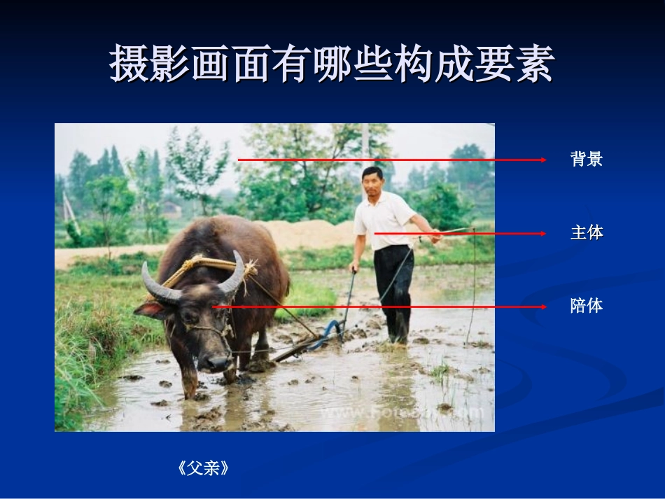 摄影作品分析_第2页