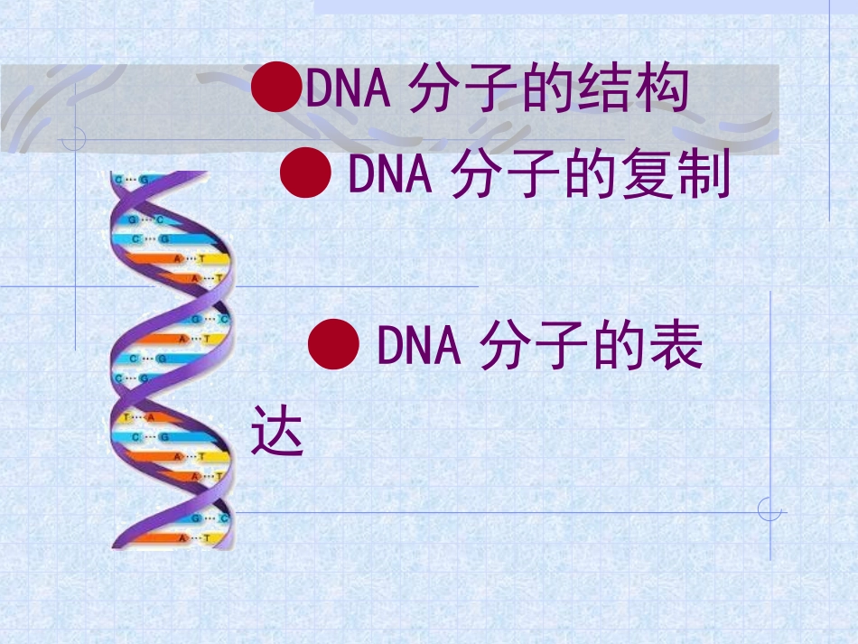基因指导蛋白质合成复习课件_第2页