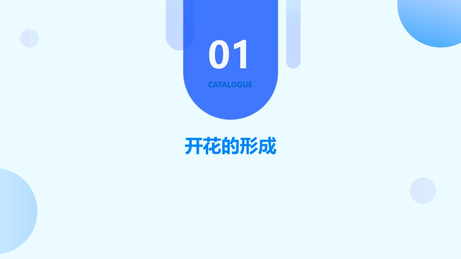 人教版七上《开花和结果》课件_第3页