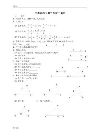 中考训练专题之相似三角形