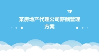某房地产代理公司薪酬管理方案课件