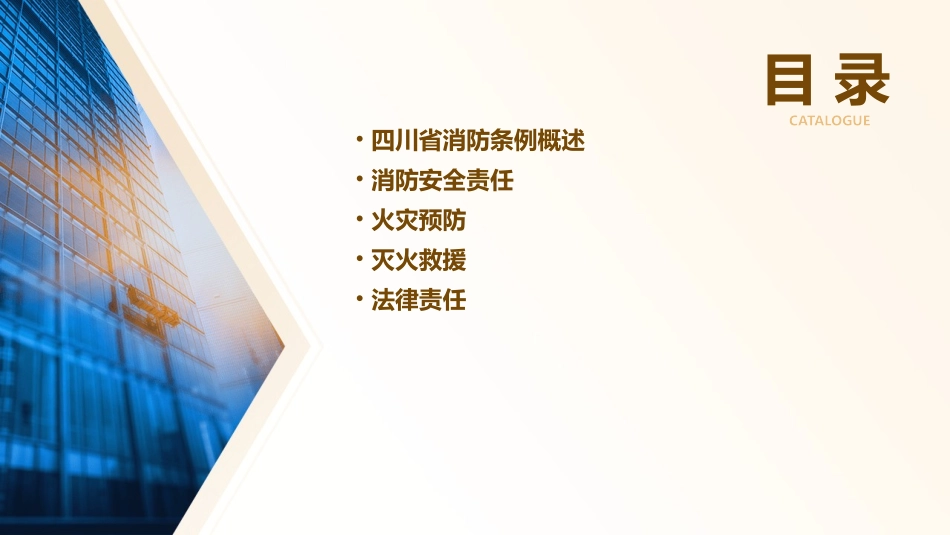 四川省消防条例课件_第2页