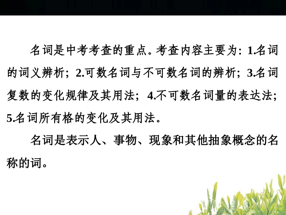 中考名词复习_第3页
