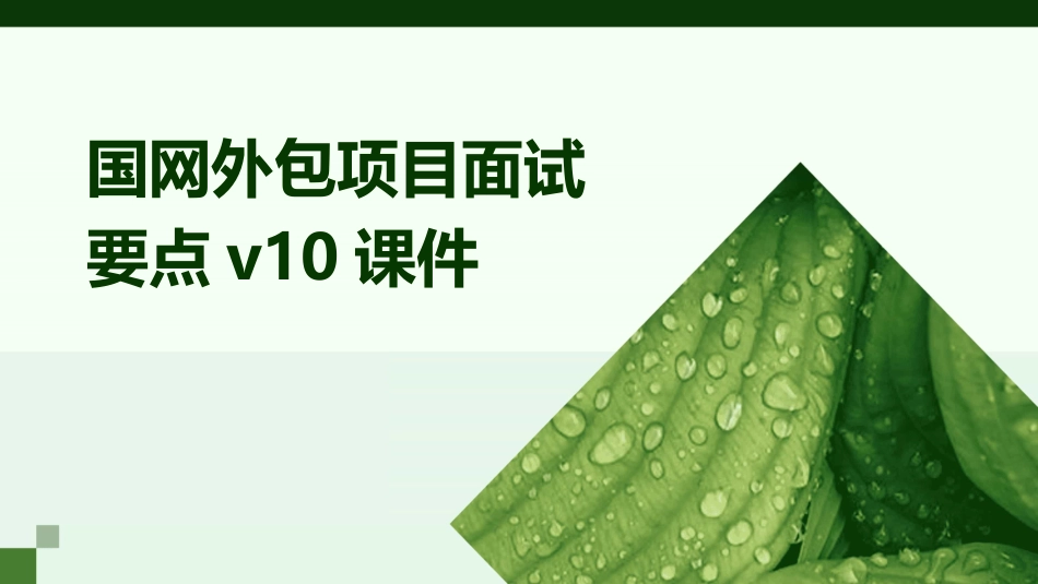 国网外包项目面试要点V10课件_第1页