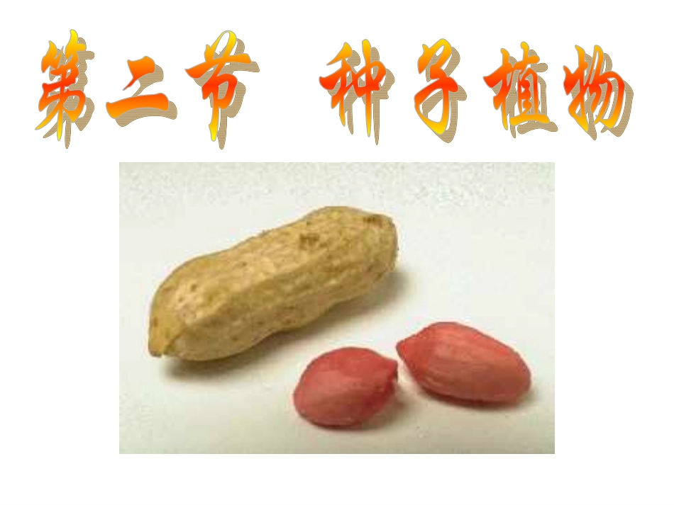 (新课堂模式)种子植物-1_第1页