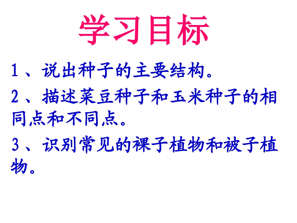 (新课堂模式)种子植物-1_第2页