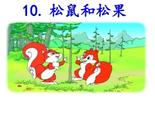 松鼠和松果课件