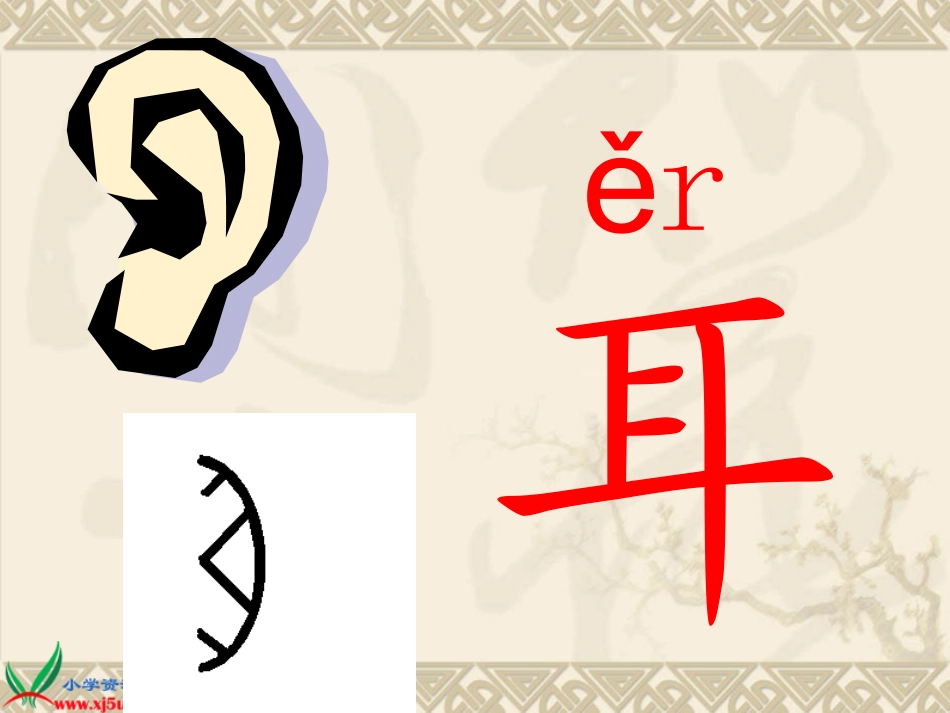 《口耳目》课件_第3页