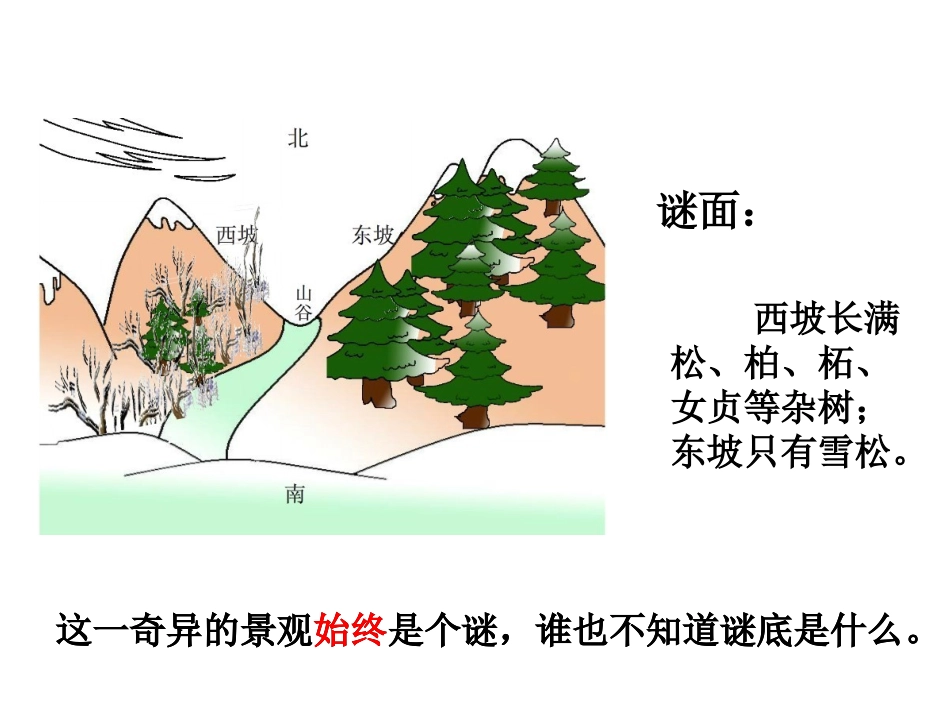 山谷中的谜底_第3页