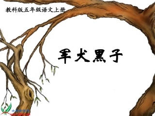 (教科版)五年级语文上册课件_军犬黑子_1[1]