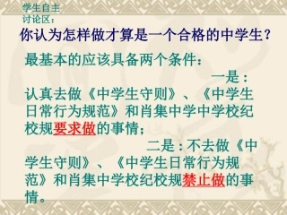 赵中园政治忠实履行义务》课件4