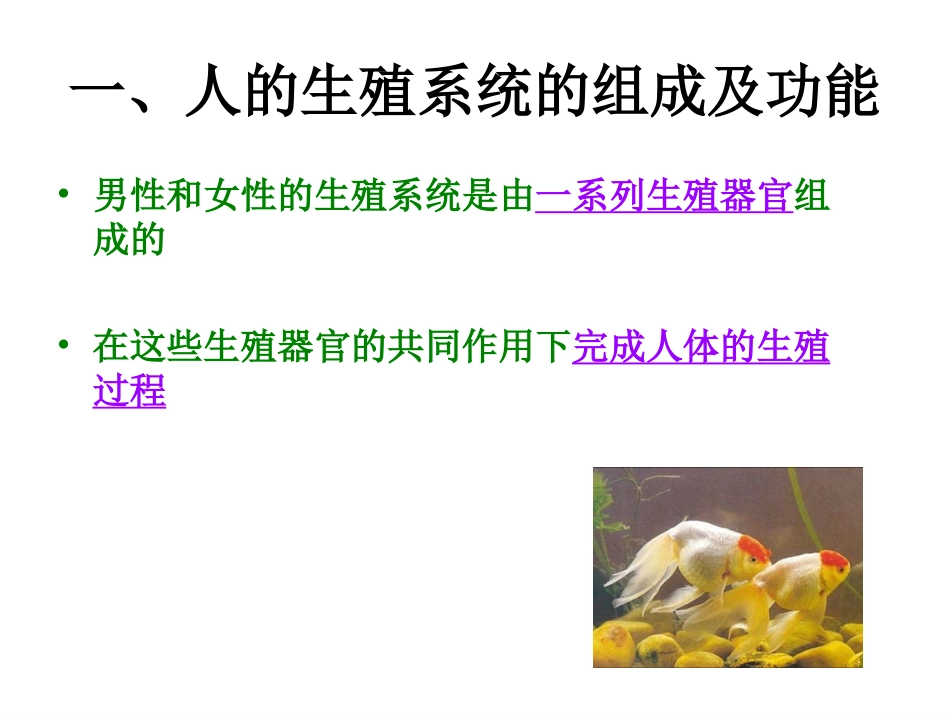 精卵结合孕育新的生命 (2)_第3页