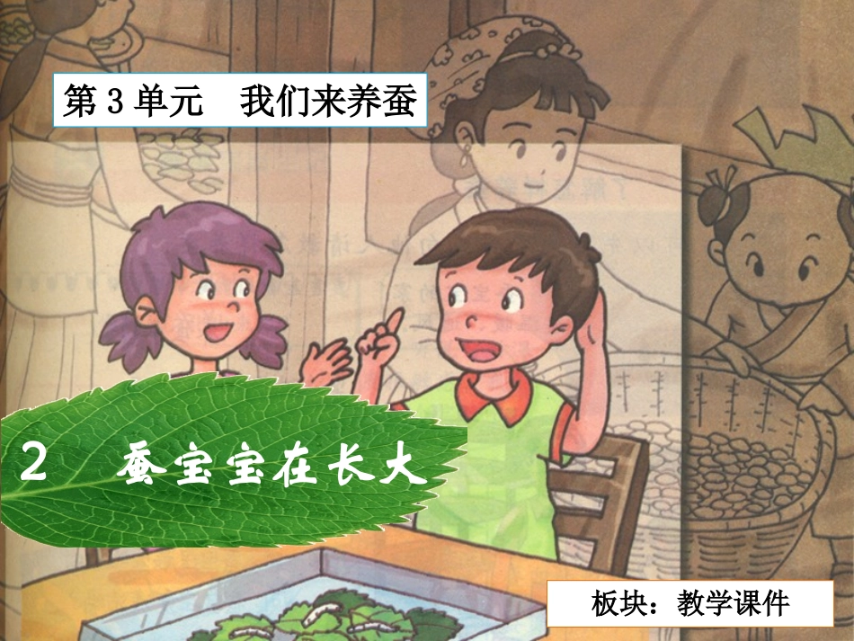 三下第三单元_2蚕宝宝在长大_教学课件_第2页