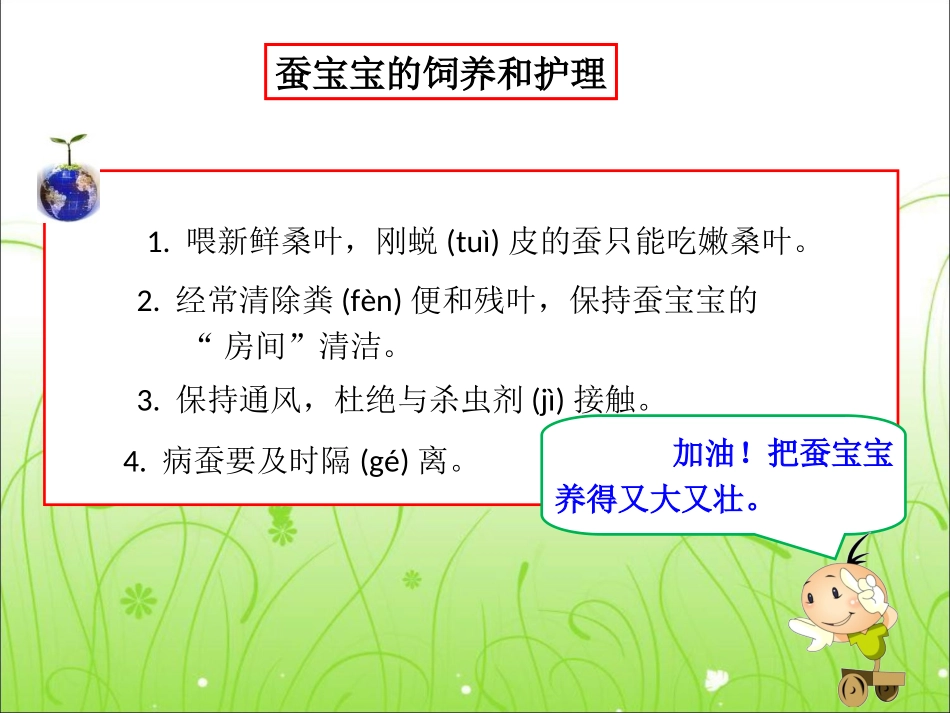 三下第三单元_2蚕宝宝在长大_教学课件_第3页