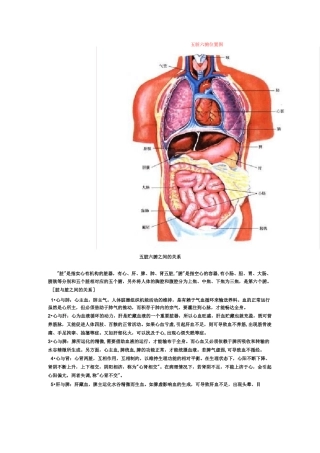 五脏六腑位置图
