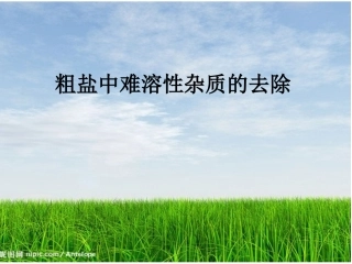 粗盐中难溶性杂质的去除