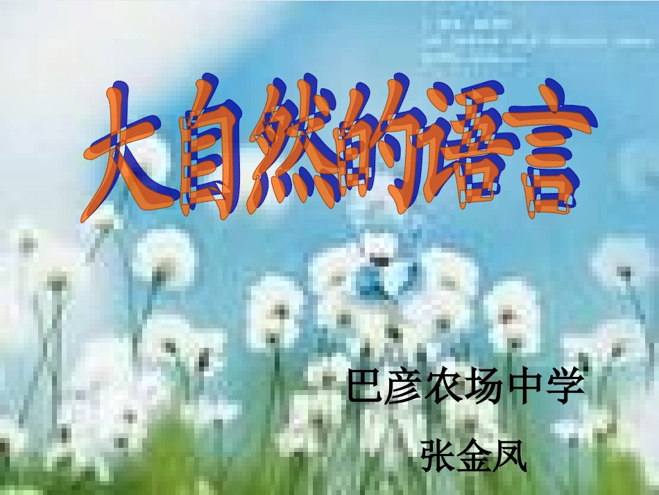 大自然的语言（第2课时）_第2页