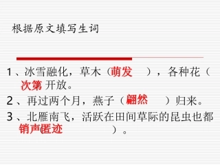 大自然的语言（第2课时）