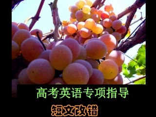 高考短文改错错误类型例析