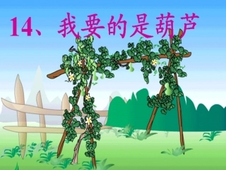 我要的是葫芦 (3)