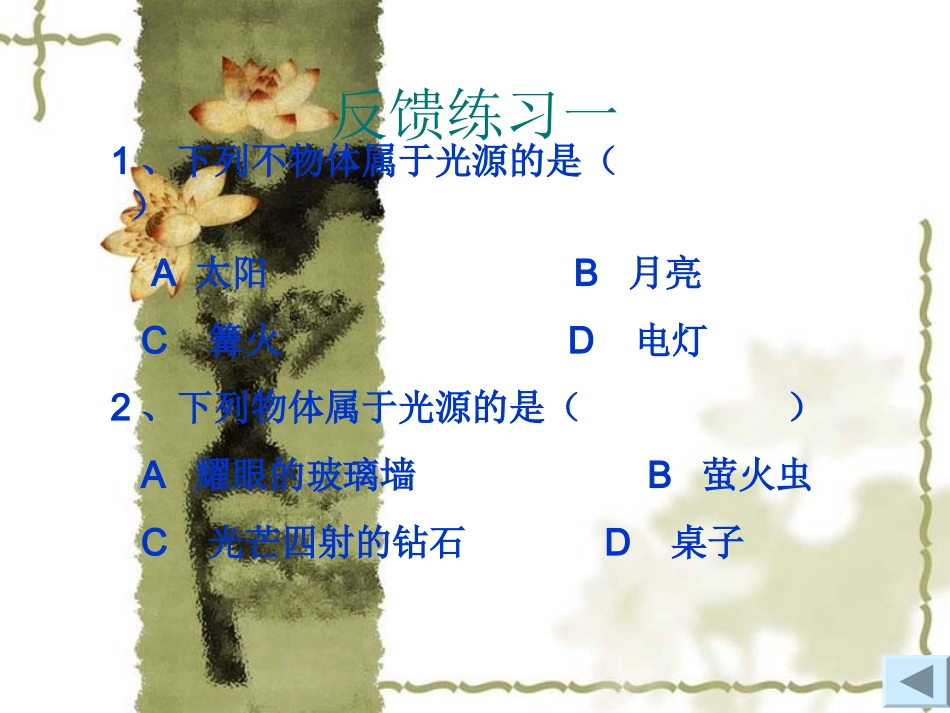 人教版八年级物理上册光现象复习一_第3页